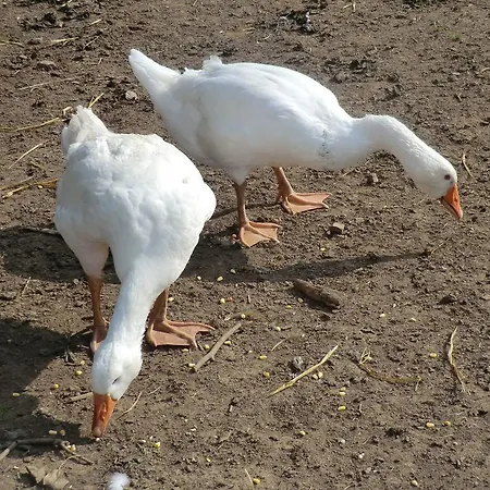 アパート Auf Der Kehr *