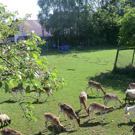 Auf Der Kehr アパート Arzfeld